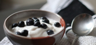 probiotischer joghurt