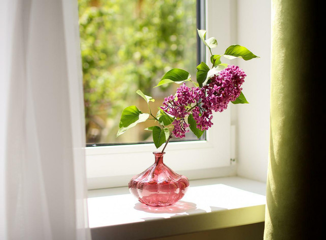 auf-fensterbaenken-koennten-sich-bald-mini-solaranla-cc0-pixabay-irina_kukuts-220810_download Auf Fensterbänken könnten sich bald Mini-Solaranlagen installieren lassen.