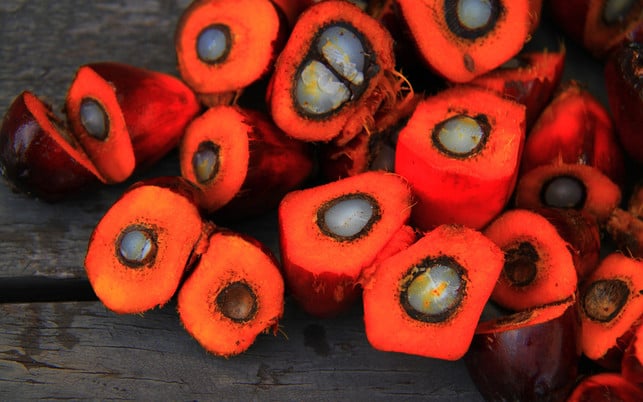 bio-palmoel-palmfruechte-cc0-pixabay-160909-1280x800 Palmöl