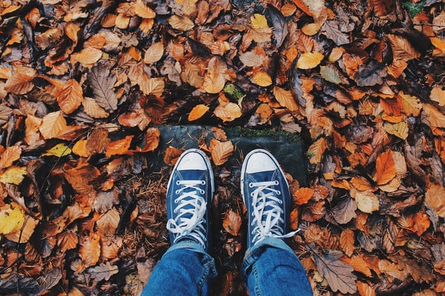 vor-allem-in-der-feuchtkalten-jahreszeit-solltest-cc0-pixabay-foundry-231112_download Vor allem in der feuchtkalten Jahreszeit solltest du darauf achten, deine Schuhe zu schonen.