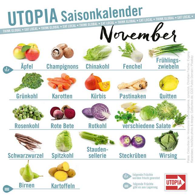 saisonkalender-utopia-november-cpb-221126-1200x1200 Utopia Saisonkalender Nov mit neuem Logo 2023