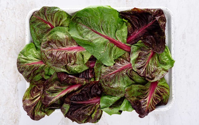 Welk, hart oder trocken: So machst du Lebensmittel wieder frisch Welker Salat
