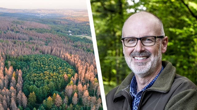 peter-wohlleben-zustand-des-waldes-pb-colinn00b-p-tobias-wohlleben-160524-1920x1209. Peter Wohlleben zur Waldzustandserhebung