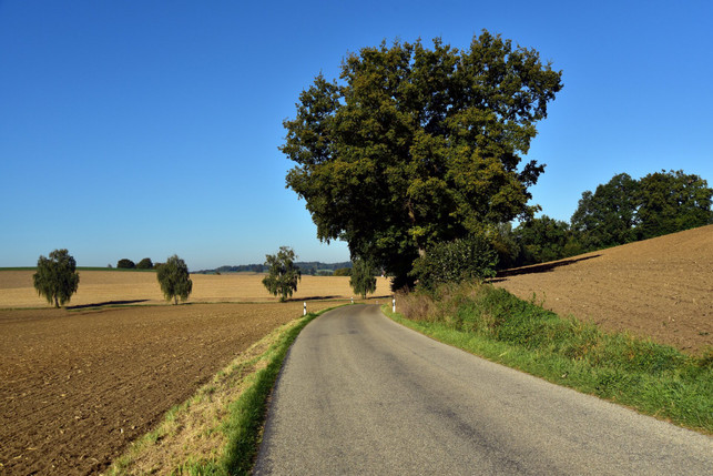 uebe-das-fahren-zunaechst-auf-strecken-ohne-verkehr-cc0--pixabay--ulleo-250618_download Übe das Fahren zunächst auf Strecken ohne Verkehr.