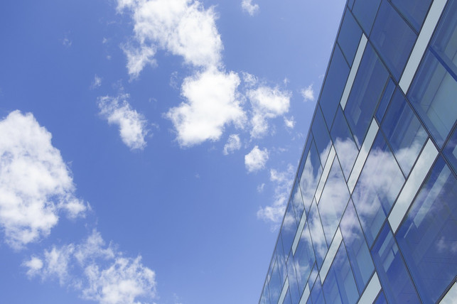 reflexionen-an-fensterscheiben-koennen-ein-grund-se-cc0-pixabay-ryanmcguire-231219_download Reflexionen in der Scheibe können ein Grund sein, warum ein Vogel gegen das Fenster geflogen ist.