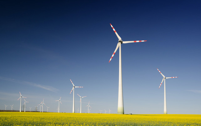 ING im Nachhaltigkeitscheck: Wie grün ist das Girokonto Future? ING Girokonto Future