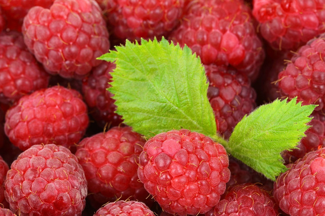 auch-himbeeren-eignen-sich-gut-als-basis-fuer-ein-l-cc0-pixabay-publicdomainpictures-190204_download Auch Himbeeren eignen sich gut als Basis für ein leckeres Fruchtleder.