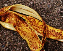 Bananenschalen nicht wegwerfen: Dafür kannst du sie noch verwenden