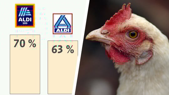 Masthuhn-Report 2025: Was tun Aldi, Lidl und Co. wirklich für das Tierwohl? Masthuhn-Report 2025
