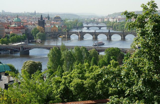 gruenflaechen-in-staedten-tragen-zum-senken-der-tempe-cc0-pixabay-murderouspass-241114_download Grünflächen in Städten tragen zum Senken der Temperatur bei.