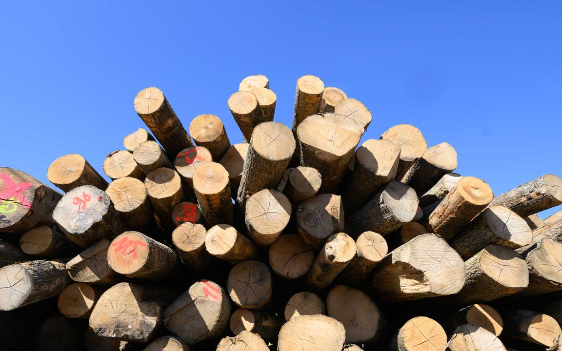 Vorsicht vor Betrug mit Brennholz und tragbaren Heizungen
