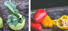 Kohlrabi und Paprika: Diese Lebensmittel solltest du im November nicht kaufen Kohlrabi und Paprika: Diese Lebensmittel solltest du im November nicht kaufen