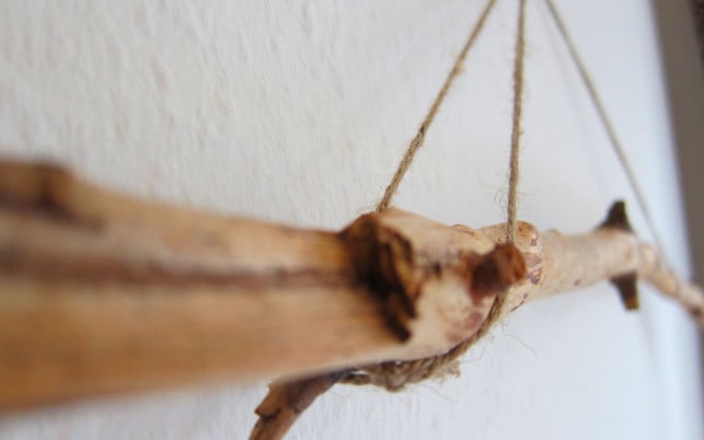 ast-galerie-u-161102-haengt-1280x800 Geschenke basteln: Ast-Galerie für Fotos und Postkarten