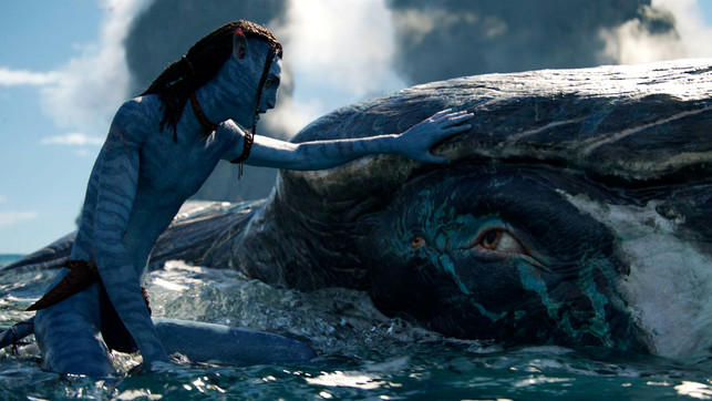 „Avatar 2“ ist plump, doch seine beste Szene muss uns endlich wachrütteln! Avatar 2: The Way of Water