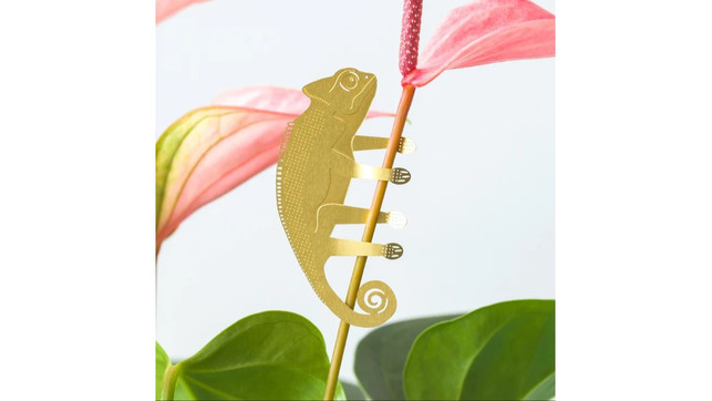 Nachhaltige Geschenke unter 10 Euro Pflanzendeko von Another Story