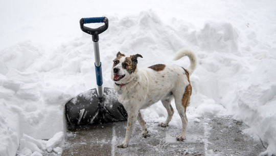 schneeschippen-haufen-cc0--pixabay--heartlandmom-260120 Schneeschippen haufen