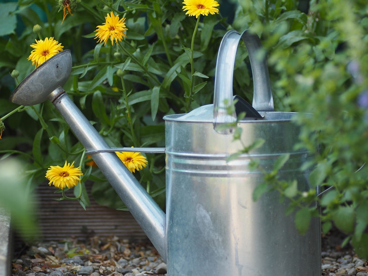 Zu schade fr den Abfluss: 3 Dinge, die du mit Kartoffelwasser machen  kannst - Utopia.de