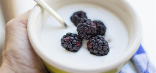 Hand hält eine Schale mit weißem Joghurt, darin liegen vier Brombeeren, ein silberner Löffel steckt in der Schale.