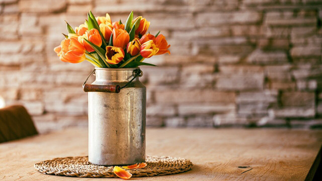 schnittblumen-frisch-halten-cc0-pixabay-nietjuh-210526 schnittblumen frisch halten