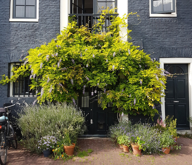 amsterdam-haelt-auch-unterkuenfte-fuer-umweltbewusste-charlotte-g-utopia-180820_download Amsterdam hält auch Unterkünfte für umweltbewusste Reisende bereit.