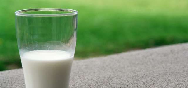 Kefir - das Milchgetränk im Glas