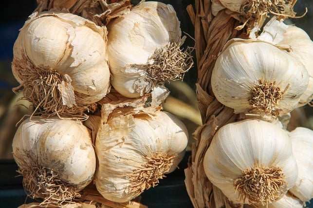Knoblauch-is-gesund-das-number-rich-Studi-Cc0-Pixabay man-frierger-191201_Download Garlic is healthy - numerous studies show that.