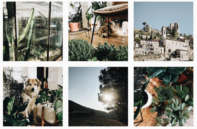 anne-marie-aus-koblenz-betreibt-den-account-todayi-todayis_de-instagram-190618_download Anne Marie aus Koblenz betreibt den Account todayis_de.