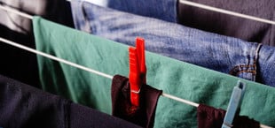 Wäsche in der Wohnung trocknen: 4 Tipps, um Schimmel zu vermeiden