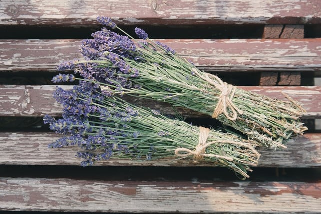 lass-deinen-lavendel-schonend-fuer-ein-bis-zwei-woc-cc0-pixabay-pexels-240805_download Lass deinen Lavendel schonend für ein bis zwei Wochen trocknen.