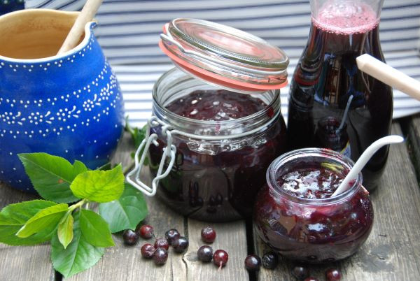 rezept-aroniabeeren-konfituere_aronia-original_600 Aronia - Apfelbeere