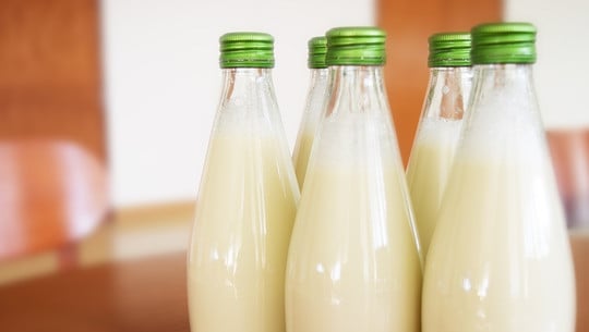 molke-cc0-pixabay-falovelykids-190115 Molke