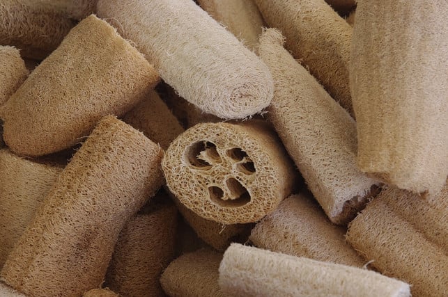 luffa-schwaemme-eignen-sich-nicht-nur-zur-koerperpfl-cc0-pixabay-juhele-220625_download Luffa-Schwämme eignen sich nicht nur zur Körperpflege.