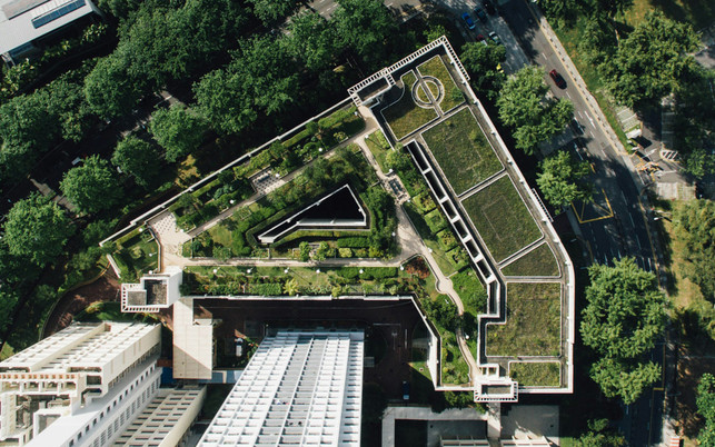 Dachbegrünungen helfen, Regenwasser aufzufangen Dachbegrünungen helfen, Regenwasser aufzufangen