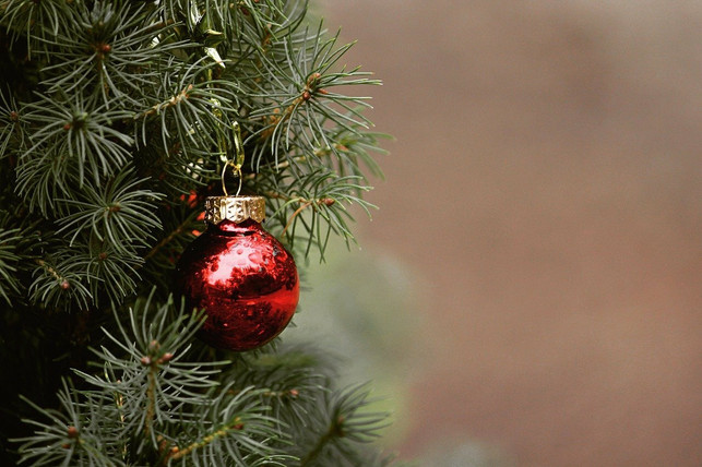 auch-in-der-weihnachtsbaumbranche-kursiert-ein-tri-cc0-pixabay-tantetati-211213_download Auch in der Weihnachtsbaumbranche kursiert ein Trick, der Konsument:innen zum Kauf überreden soll.