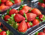 Früherdbeeren bei Öko-Test: Überraschende Erkenntnisse
