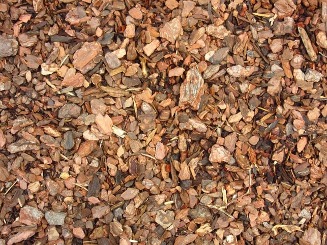 rindenmulch-schuetzt-deine-beete-vor-streunenden-ka-cc0-pixabay-rkit-180613_download Rindenmulch schützt deine Beete vor streunenden Katzen.