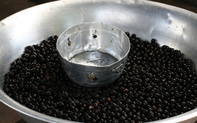 Superfood: Acaibeeren Superfoods Acai-Beere