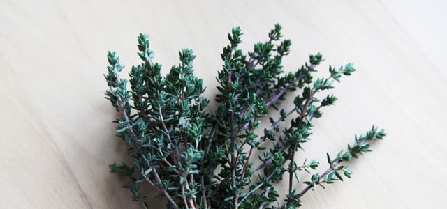 Thymian Wirkung