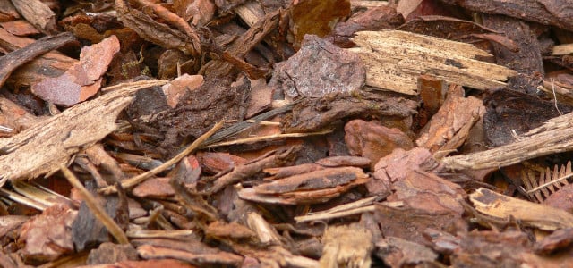 rindenmulch gegen unkraut