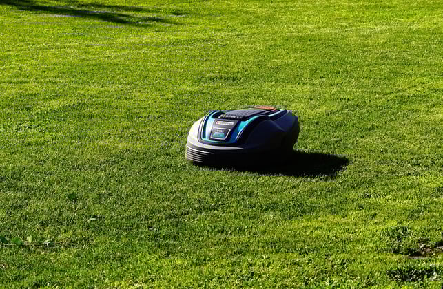 maehroboter-koennen-fuer-igel-zu-einer-toedlichen-fall-cc0-pixabay-kapa65-211022_download Mähroboter können für Igel zu einer tödlichen Falle werden.