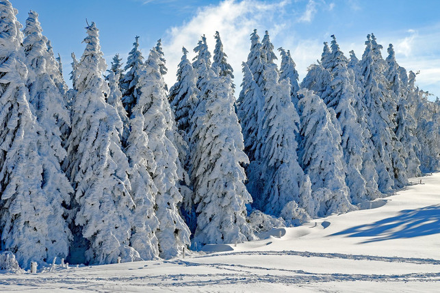 ob-es-dieses-jahr-zum-winteranfang-schneit-cc0-pixabay-couleur-181124_download Ob es 2020 zum Winteranfang schneit?