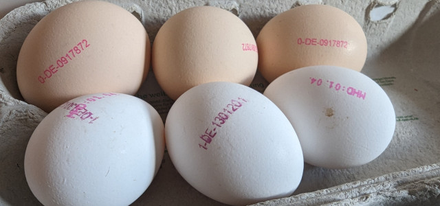 Eiercode: Was steht auf dem Ei und woher kommt mein Ei?