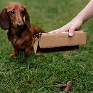 schaufelsystem-von-poopick-the-poopick-180914_download Schaufelsystem von PooPick