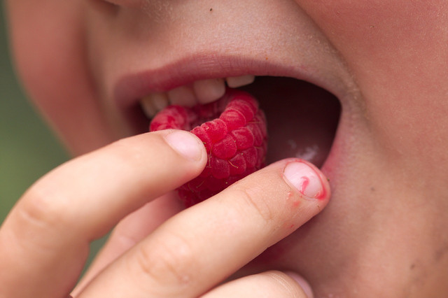 eating noises-can-be-used-for-those-affected-by-misophonia-cc0-pixabay-9767269-231006_download Eating sounds can evoke strong emotions and physical reactions for misophonia sufferers.