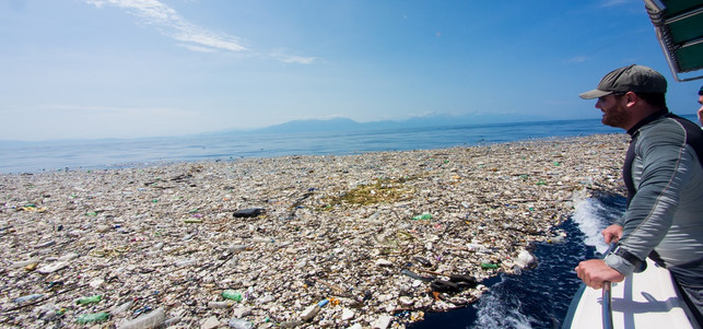 Plastik Plastikmüll Meer Karibik Plastik Plastikmüll Meer Karibik