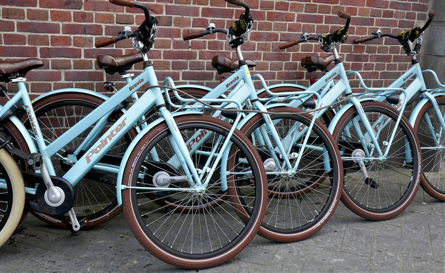 ein-fahrrad-kannst-du-dir-gut-ausleihen-cc0-pixabay-roall-230811_download Ein Fahrrad kannst du dir gut ausleihen.