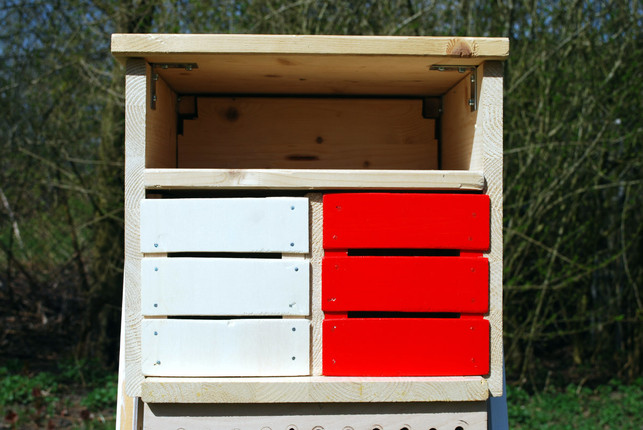 die-zimmer-fuer-marienkaefer-und-florfliegen-rot-melanie-von-daake-utopia-180422_download Die "Zimmer" für Marienkäfer und Florfliegen (rot gemalt) füllst du mit Stroh aus.