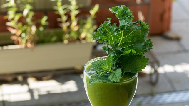 ob-gekocht-oder-im-gruenen-smoothie-gruenkohl-ist-e-cc0-pixabay-monikabaechler-200531_download Ob gekocht oder im grünen Smoothie, Grünkohl ist ein Gemüse mit besonders viel Eiweiß.