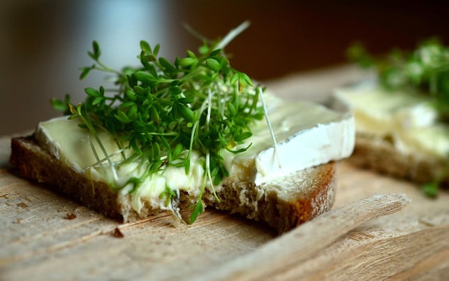 Microgreens Keimlinge Sprossen Microgreens: angesagtes Superfood