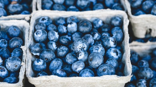 Blaubeeren: Woher haben sie ihre blaue Farbe? Blaubeeren: Woher haben sie ihre blaue Farbe?